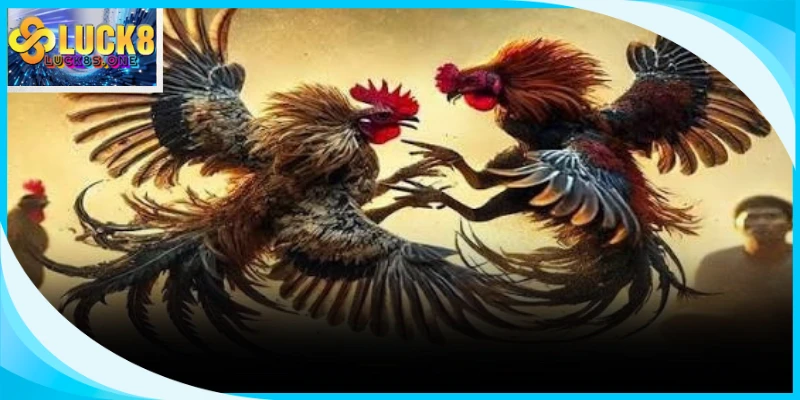 Đá Gà Cựa Sắt